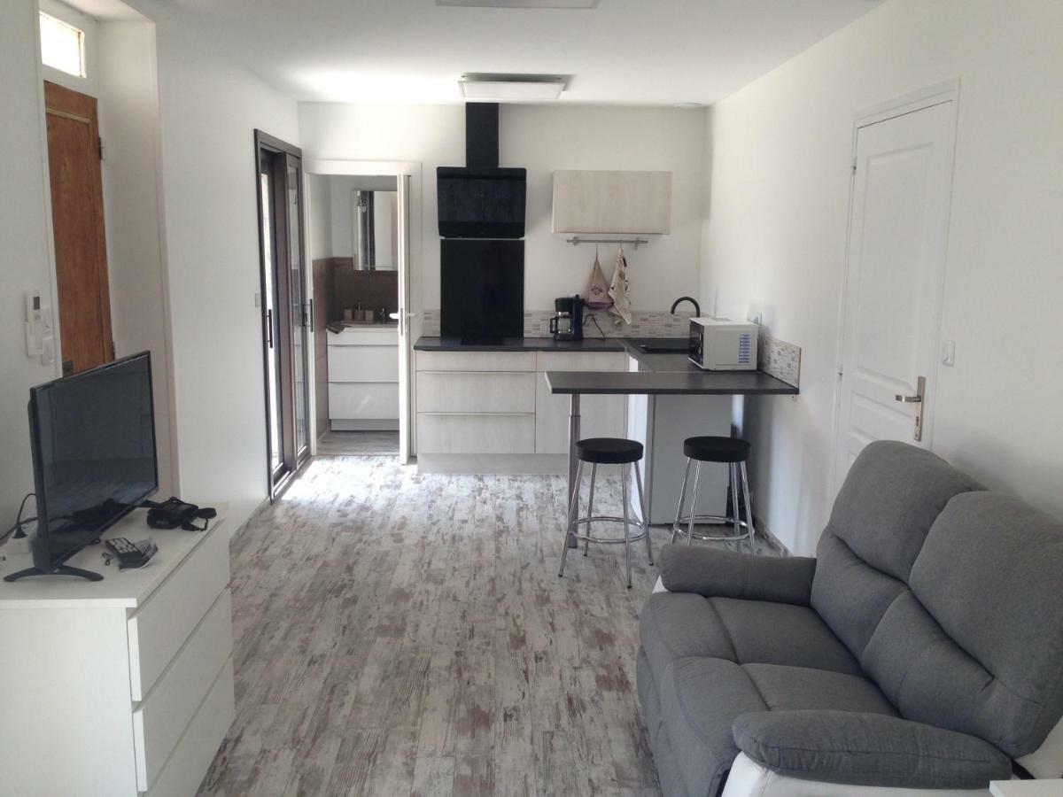 Maison 4 Etoiles Et Studio 3 Etoiles Independants Avec Piscine Л'Іль-сюр-ла-Сорг Екстер'єр фото